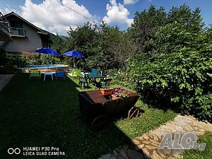 image_66