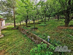 image_68