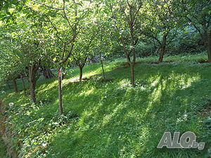 image_36