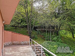 image_24