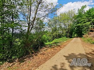 image_28