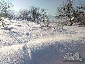 image_26