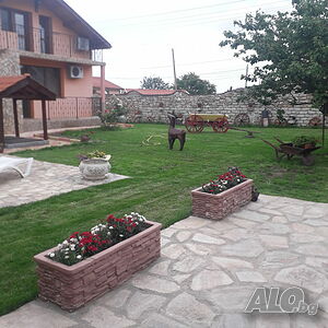 image_8