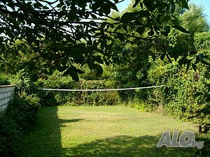 image_5