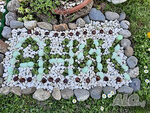 image_42