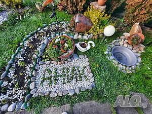 image_43