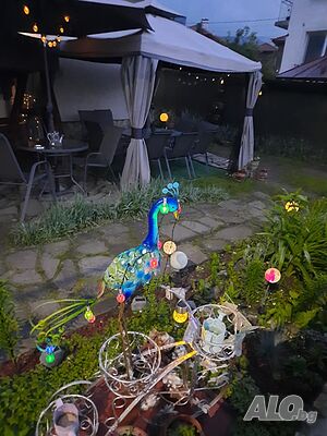 image_46
