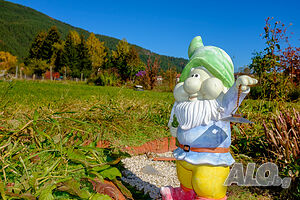 image_27