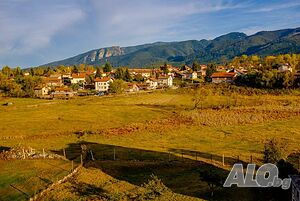 image_35
