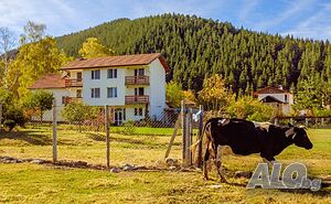 image_37