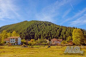 image_38