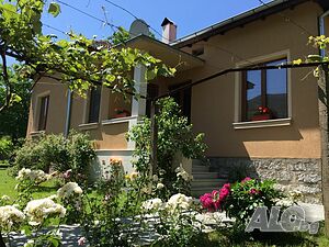image_19