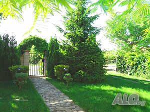 image_7
