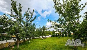image_17