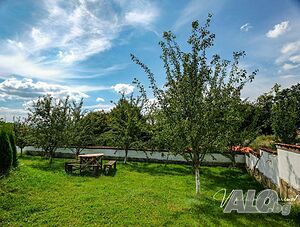 image_18