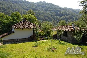 image_26