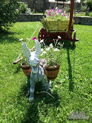 image_47