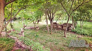 image_14