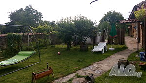 image_3