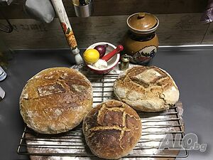 image_87