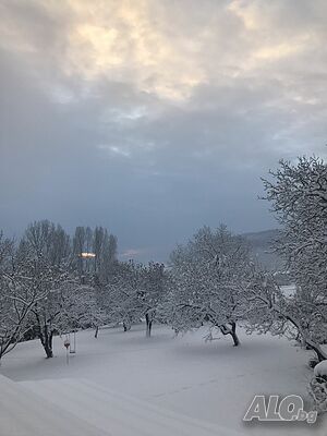 image_66
