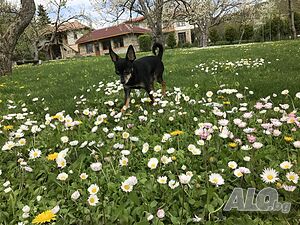 image_57