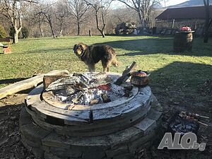 image_51