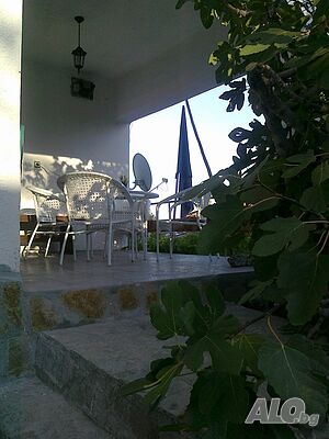 image_5