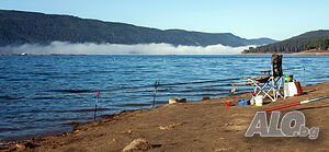 image_31
