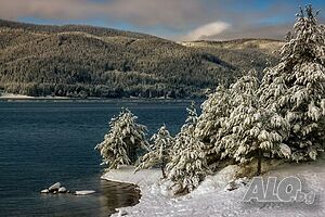 image_58