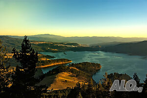 image_59