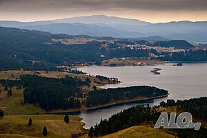 image_61
