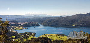 image_64