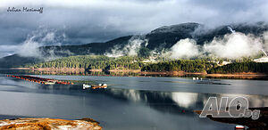 image_65
