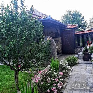 image_24