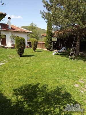 image_35