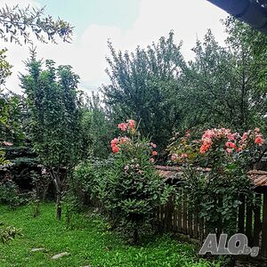 image_38