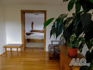 image_19