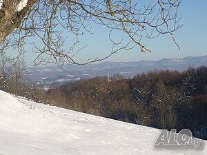 image_31