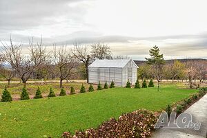 image_18