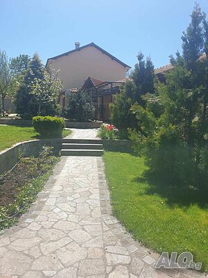 image_8
