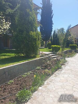 image_13