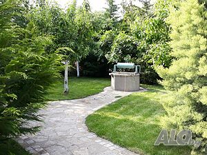 image_24