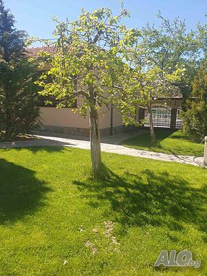 image_34