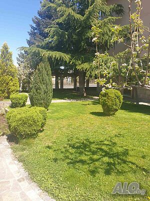 image_36