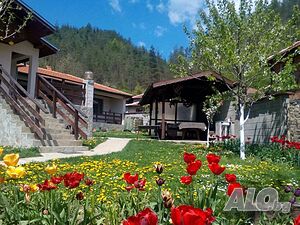 image_26