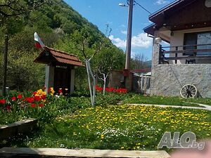 image_24
