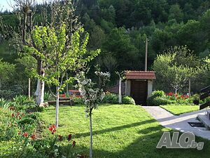 image_23