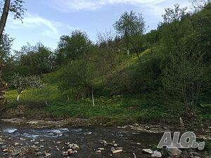 image_11