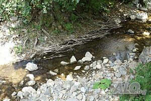 image_10